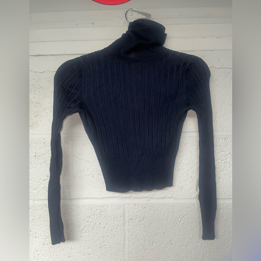 Zara cropped turtleneck